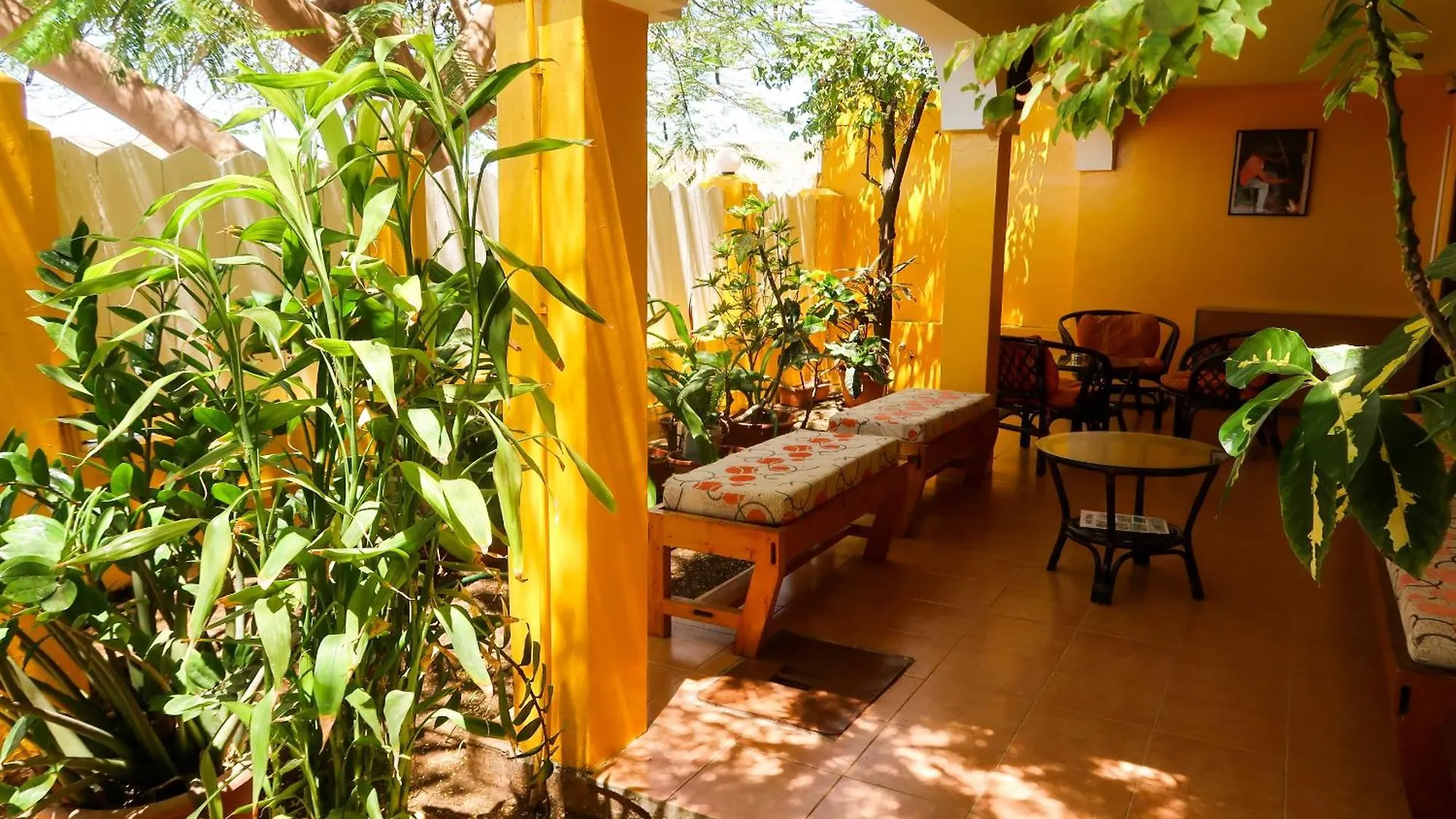 Bed and Breakfast O Jardim Do Vinho, Ac Praia